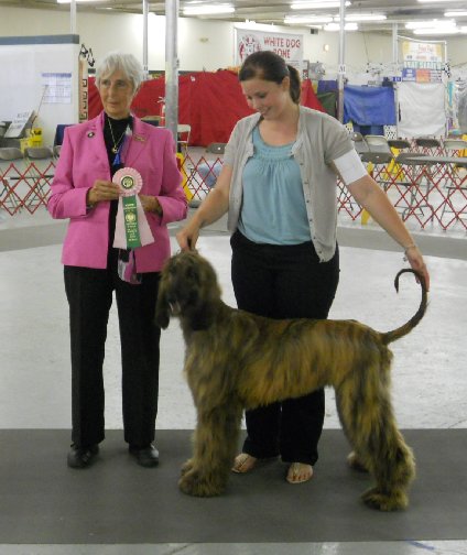 Best Puppy 2011.jpg - 45.62 K